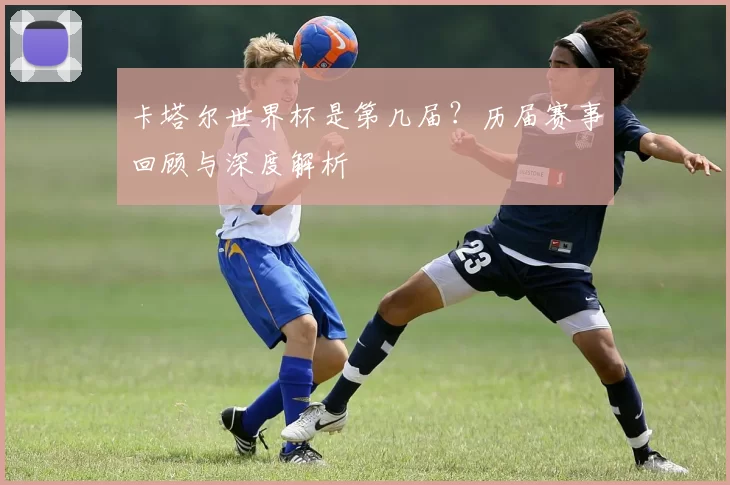 卡塔尔世界杯是第几届？历届赛事回顾与深度解析