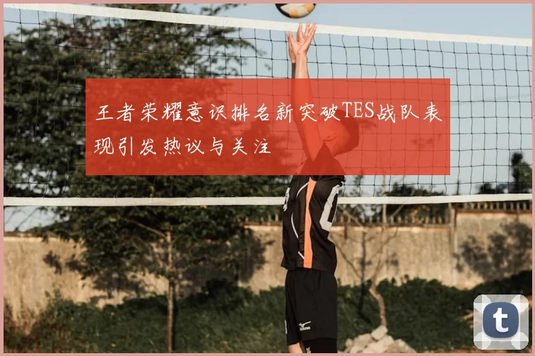 王者荣耀意识排名新突破TES战队表现引发热议与关注