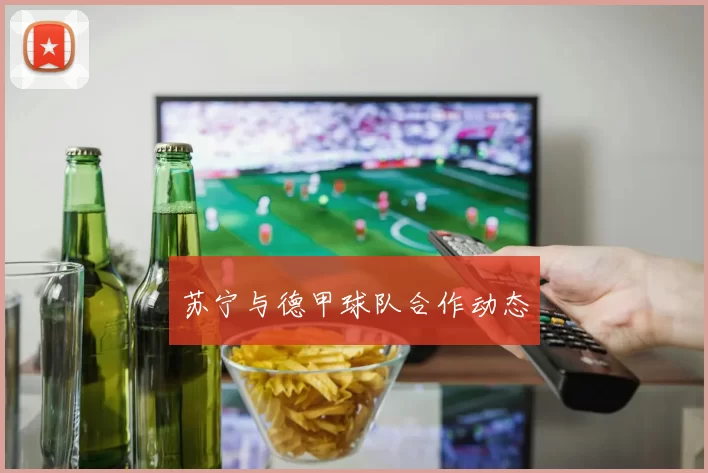 苏宁与德甲球队合作动态