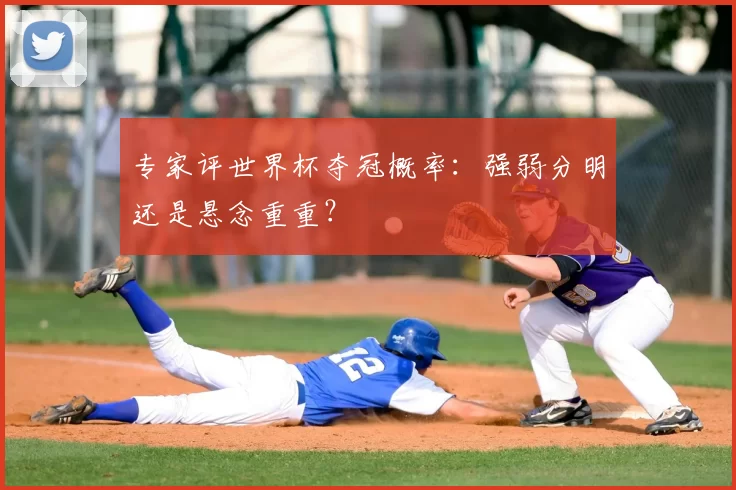 专家评世界杯夺冠概率：强弱分明还是悬念重重？