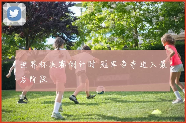 世界杯决赛倒计时 冠军争夺进入最后阶段