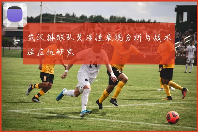 武汉排球队灵活性表现分析与战术适应性研究