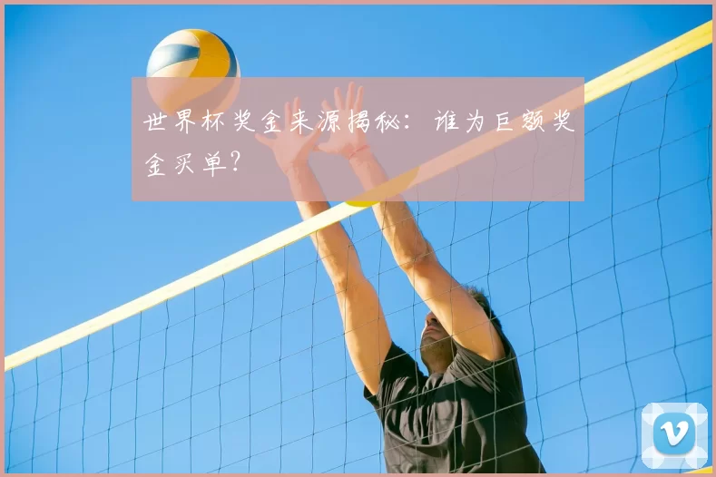 世界杯奖金来源揭秘：谁为巨额奖金买单？