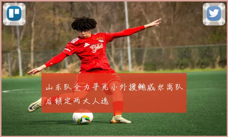 山东队全力寻觅小外援鲍威尔离队后锁定两大人选