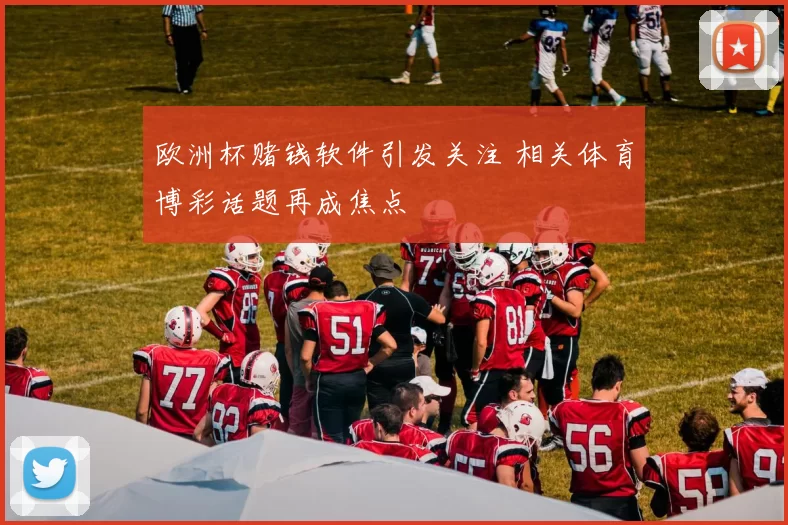 欧洲杯赌钱软件引发关注 相关体育博彩话题再成焦点