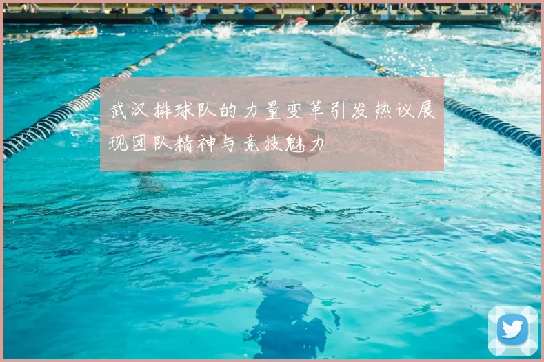 武汉排球队的力量变革引发热议展现团队精神与竞技魅力