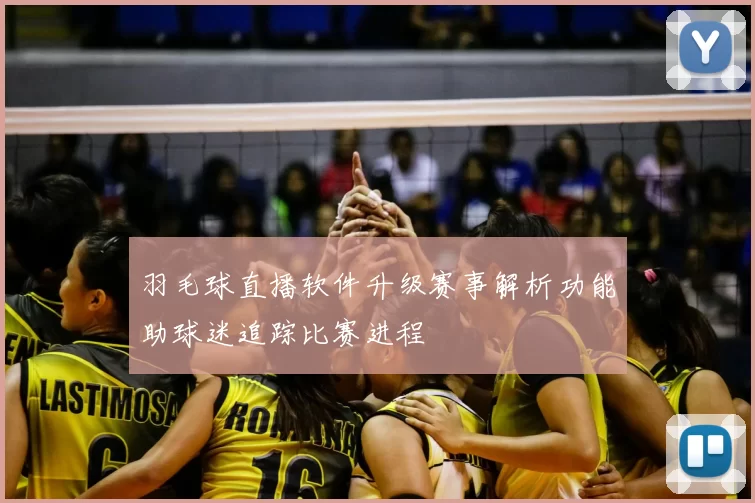羽毛球直播软件升级赛事解析功能助球迷追踪比赛进程