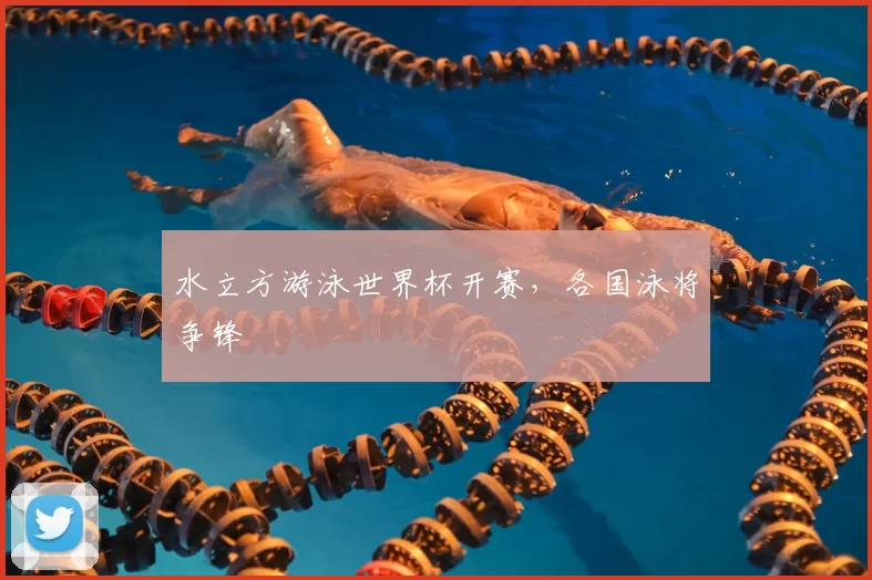 水立方游泳世界杯开赛,各国泳将争锋