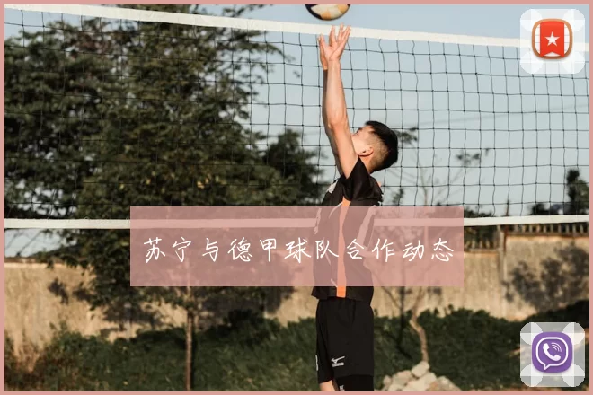 苏宁与德甲球队合作动态
