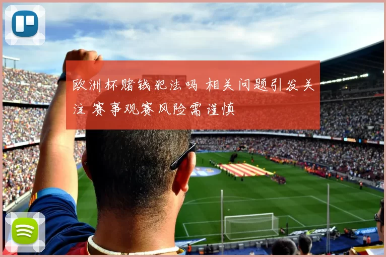 欧洲杯赌钱犯法吗 相关问题引发关注 赛事观赛风险需谨慎