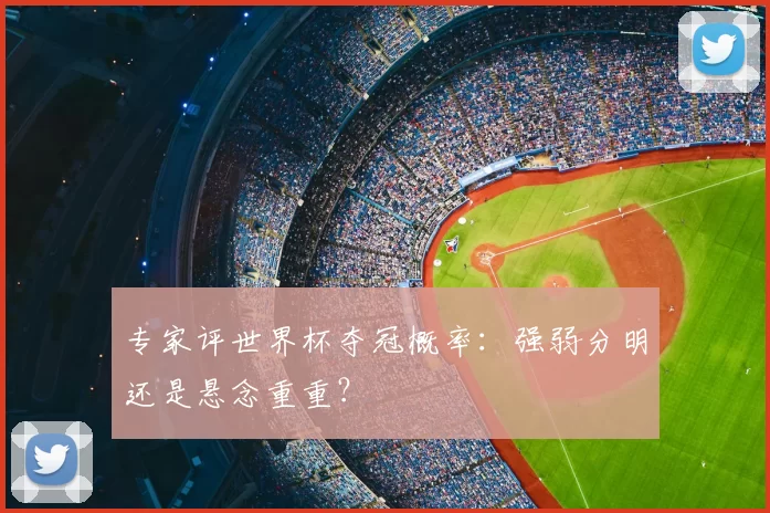 专家评世界杯夺冠概率：强弱分明还是悬念重重？